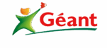 geant logo